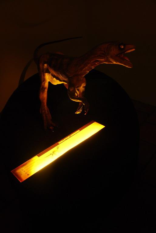 Dinosaur