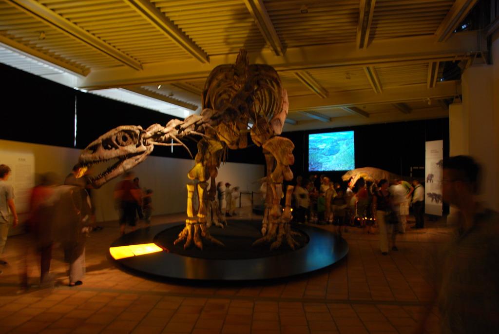 Dinosaur