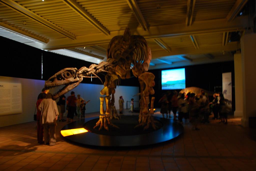 Dinosaur