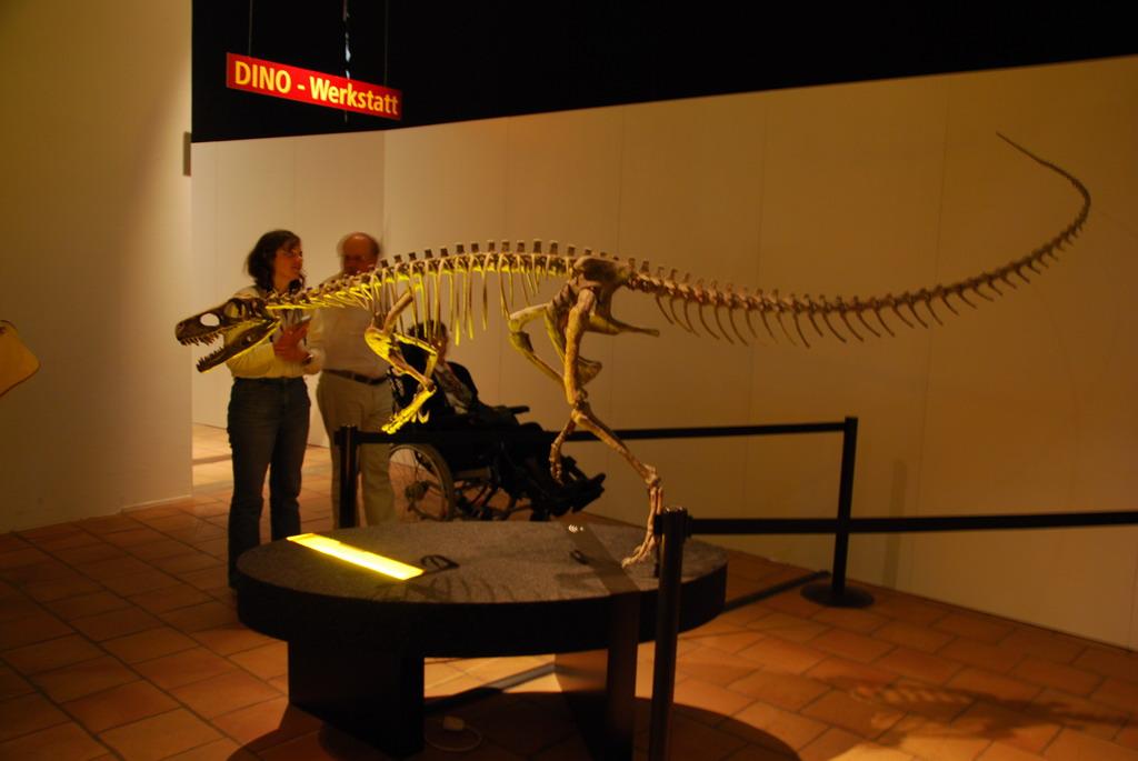 Dinosaur