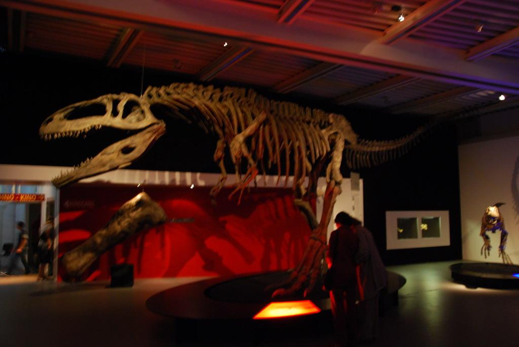 Dinosaur
