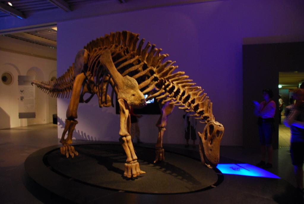 Dinosaur