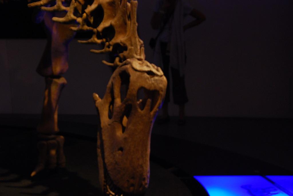 Dinosaur