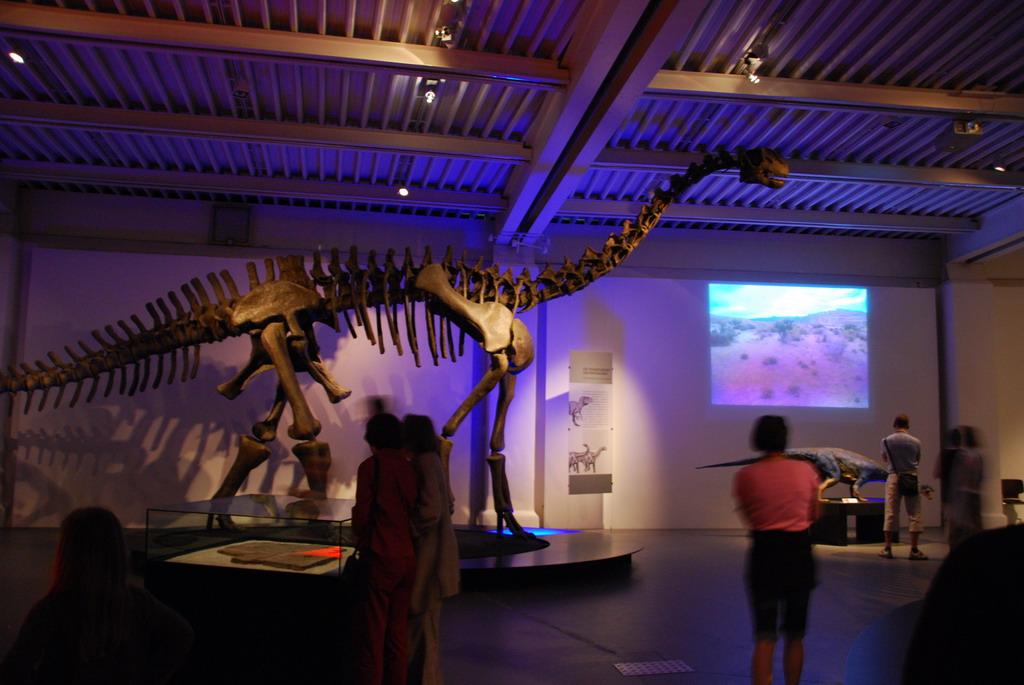 Dinosaur
