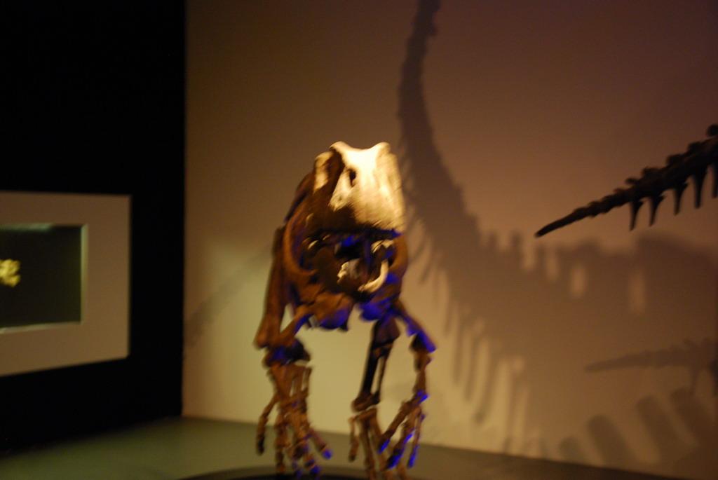 Dinosaur