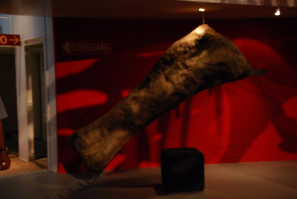 Dinosaur