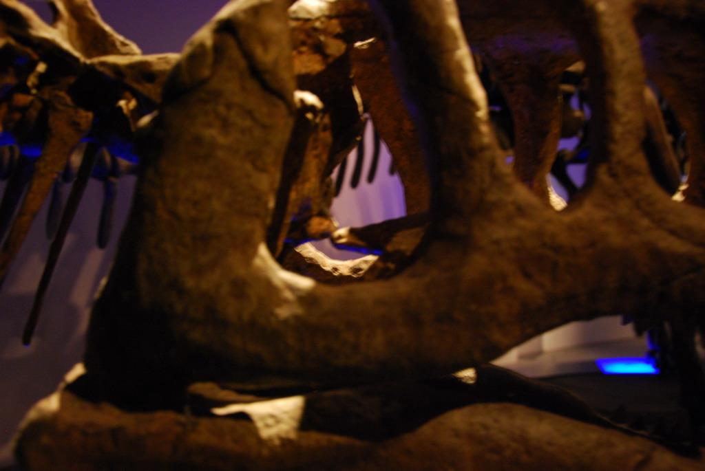 Dinosaur