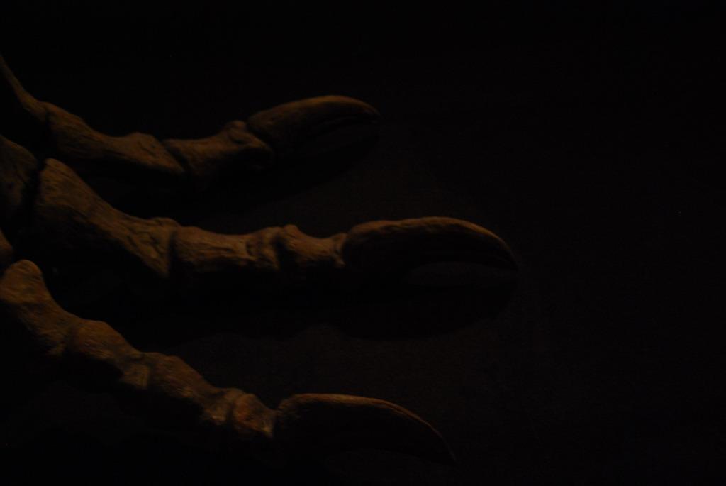 Dinosaur