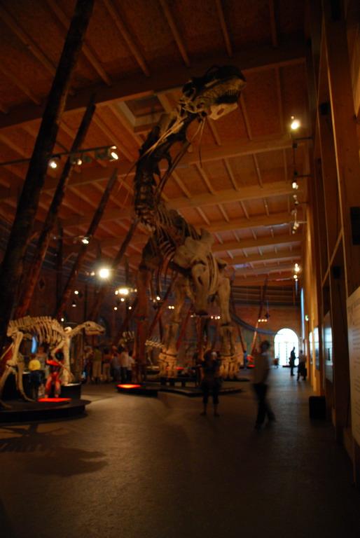 Dinosaur