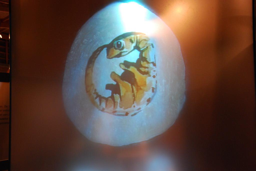 Dinosaur