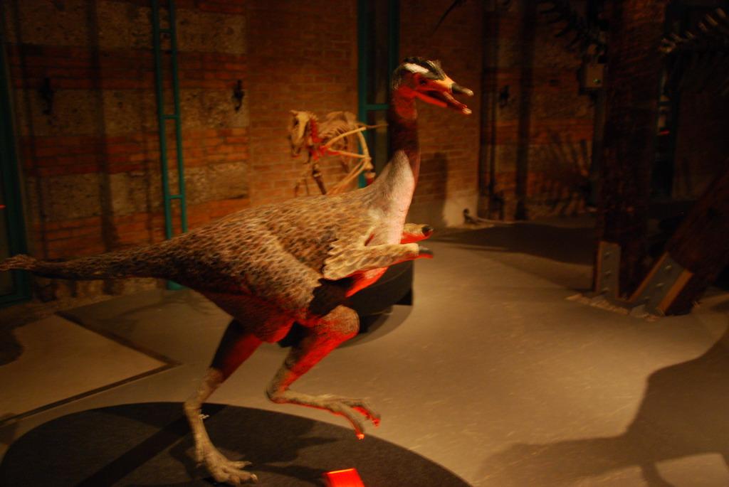 Dinosaur