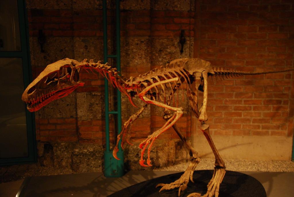 Dinosaur