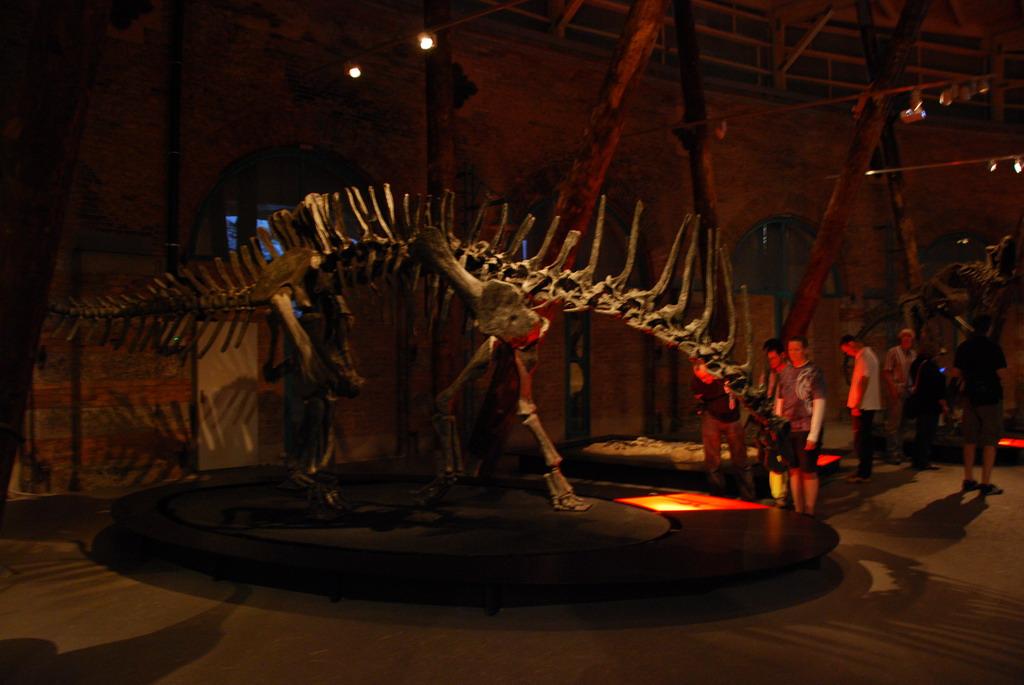 Dinosaur