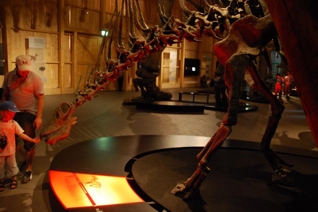 Dinosaur