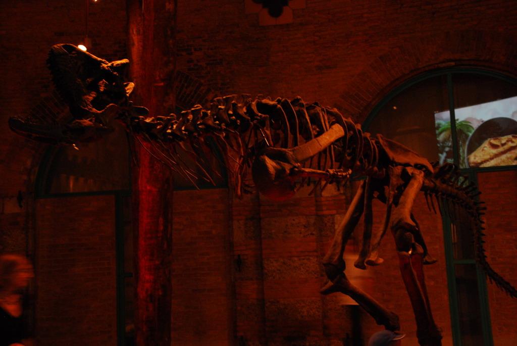 Dinosaur