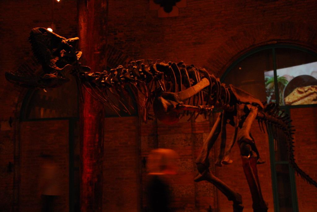 Dinosaur