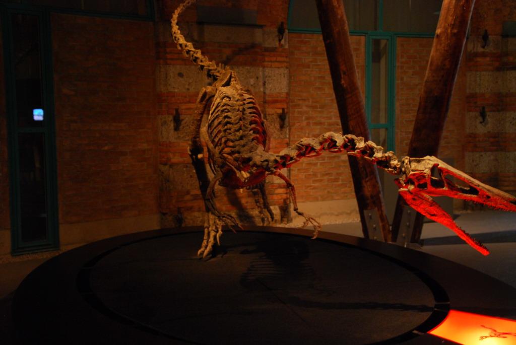 Dinosaur