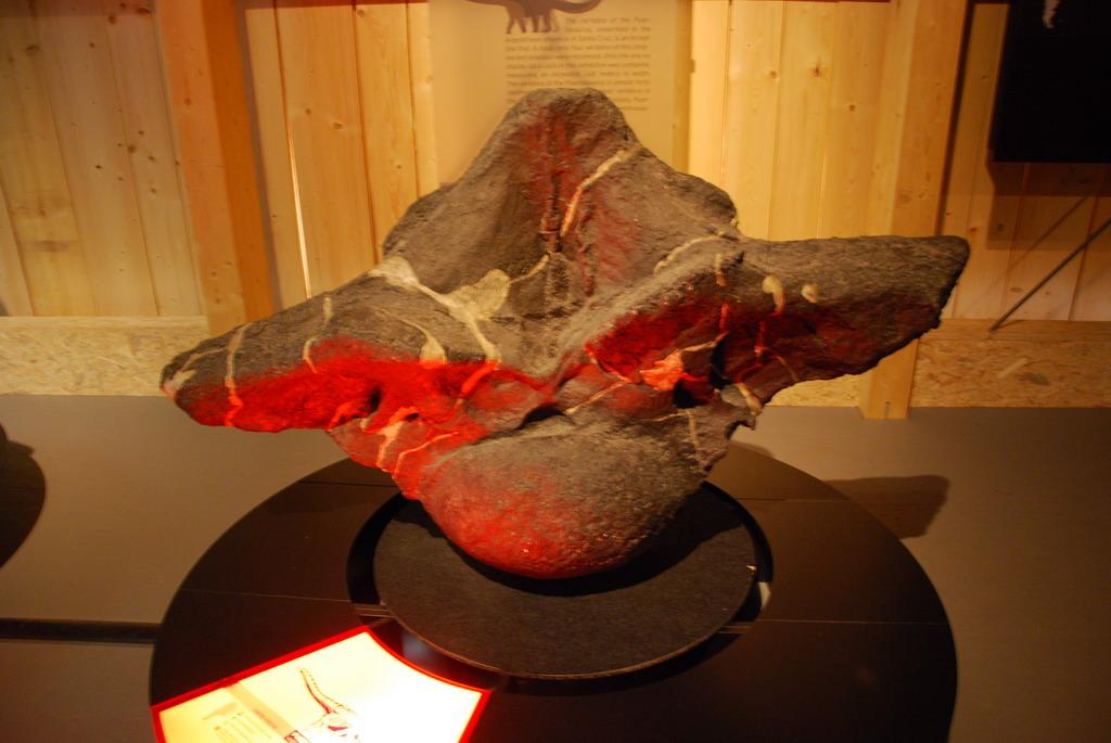 Dinosaur