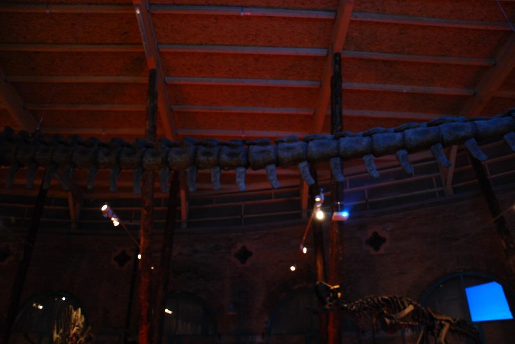Dinosaur