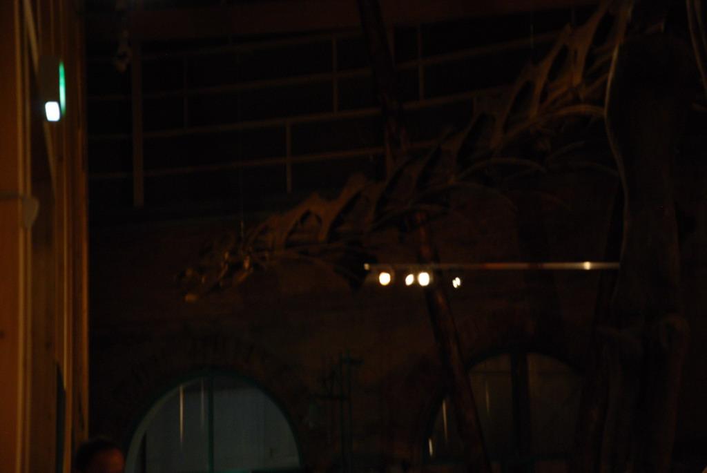 Dinosaur